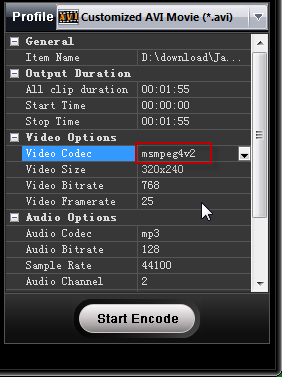 set video codec to msmpeg4v2